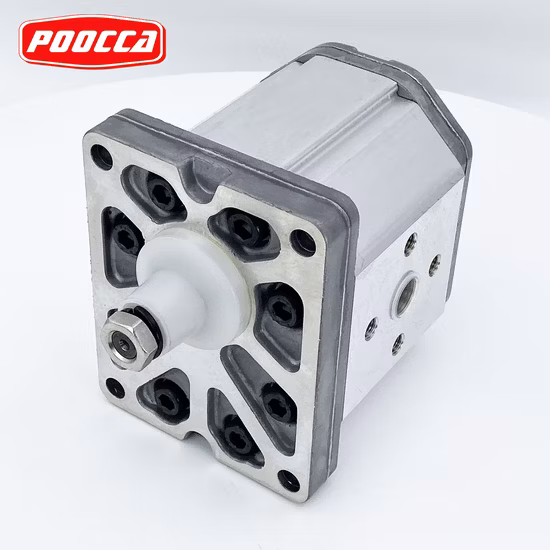 China Manufacture Italy Marzocchi Alp3 Alp3a Alp2 Alp2a Gear Oil Single Pump