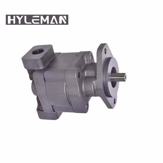 Cast Iron Italy Marzocchi Ghp2-D-6 Ghp Series Best Quality Hydraulic External Gear Pump
