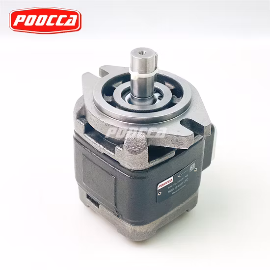 Manufacture Sunny Rexroth Replacement Hg0 Hg1 Hg2 Pgh2 Pgh3 Pgh4 Pgh Series Hydraulic Internal Gear Pump
