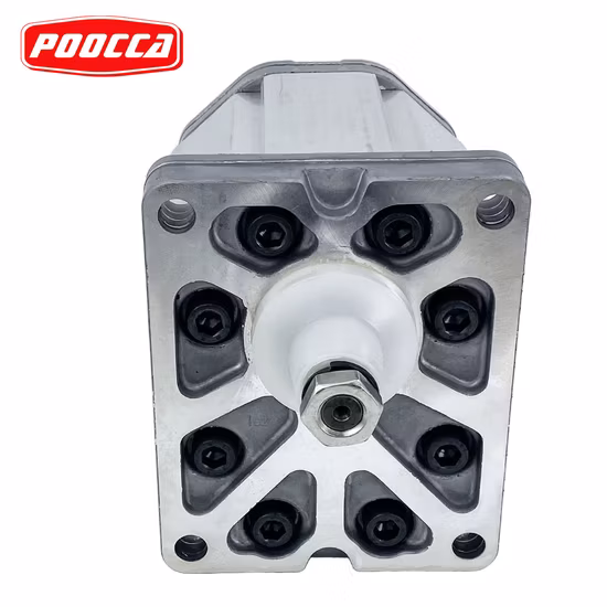 Marzocchi Pump Ghp 2A Gear Pump Ghp2a-D-22-Fg High Pressure Pump Pressure 28MPa~31MPa